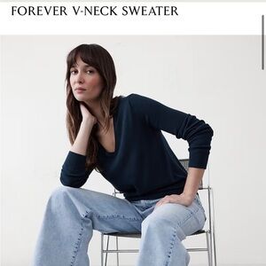 Banana Republic Factory Forever V Neck Sweater